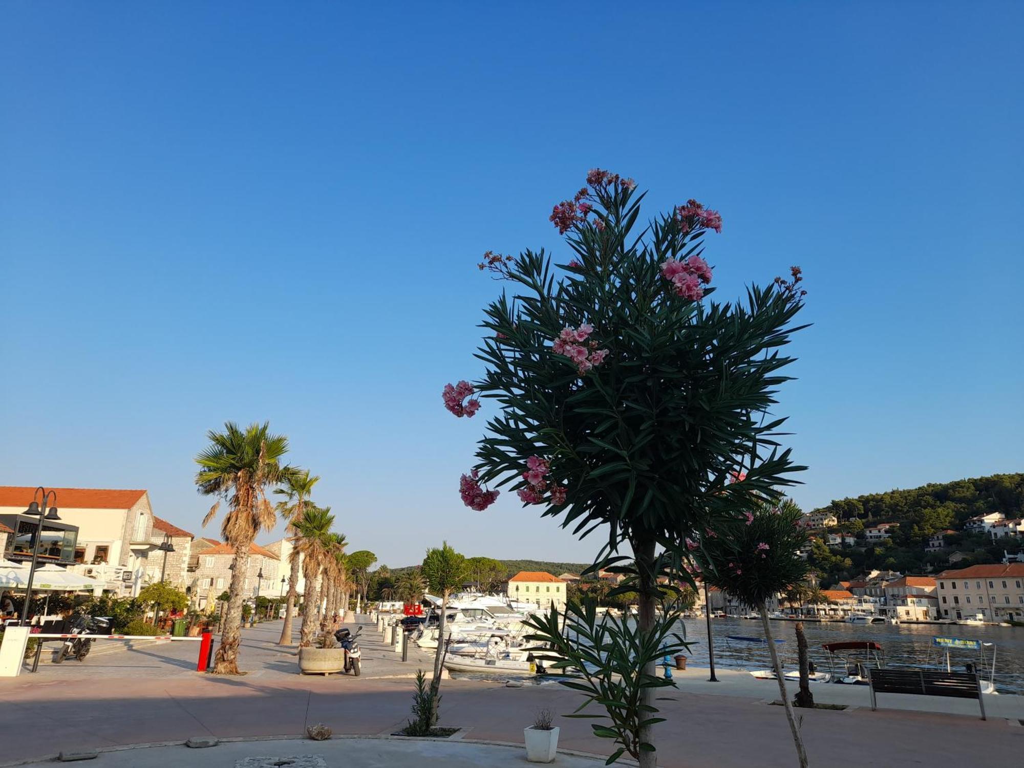 Hvar Architect'S House Pitve Ngoại thất bức ảnh